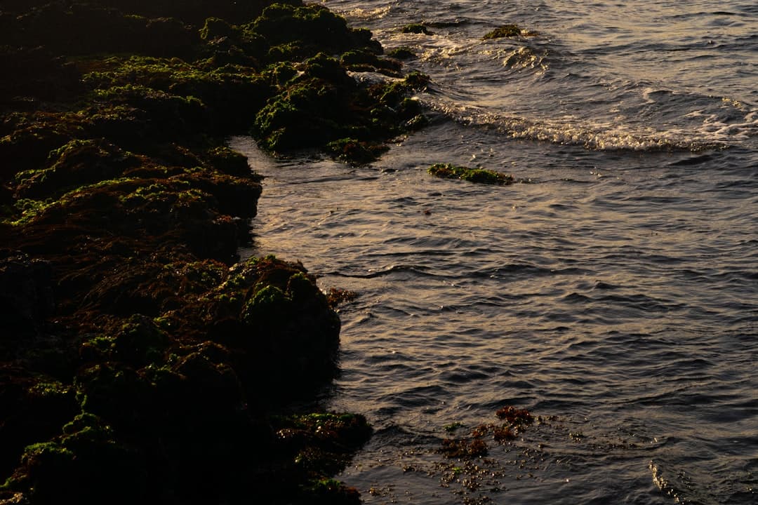 The Ultimate Jeju Island Travel Guide | 5-Day Road Trip Itinerary & Best Cafes