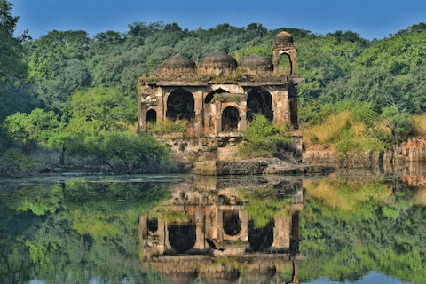 The Ultimate Ranthambore Travel Guide | Tigers, Forts & Wildlife Safari