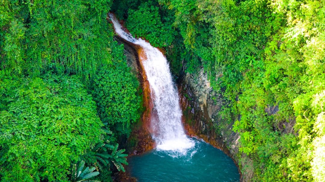 The Ultimate Cebu City Travel Guide | Top Attractions & Food