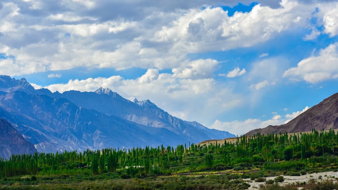The Ultimate Leh Ladakh Travel Guide | Monasteries, Palaces & Budget Tips