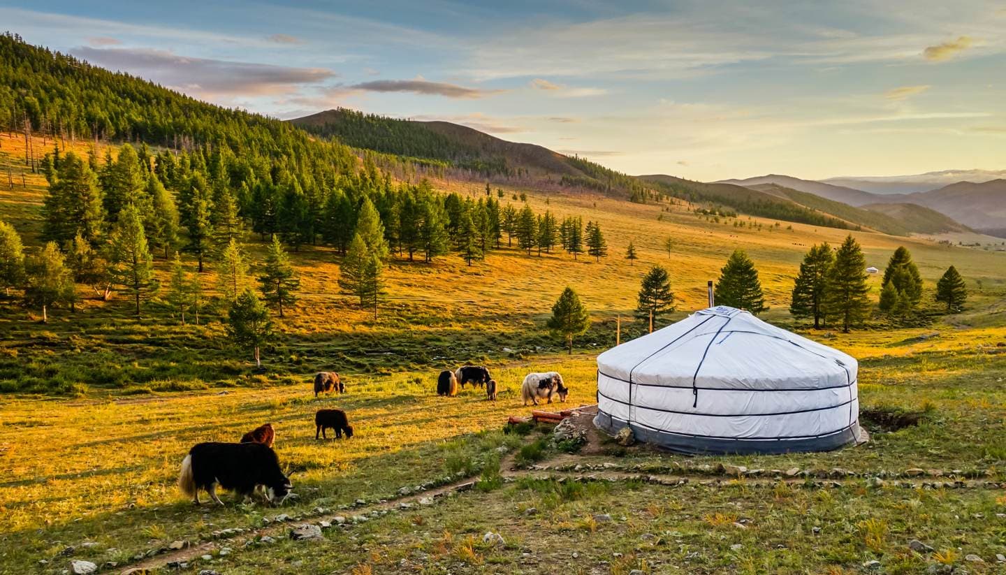 The Ultimate Mongolia Travel Guide 2025 | Epic 5-Day Itinerary