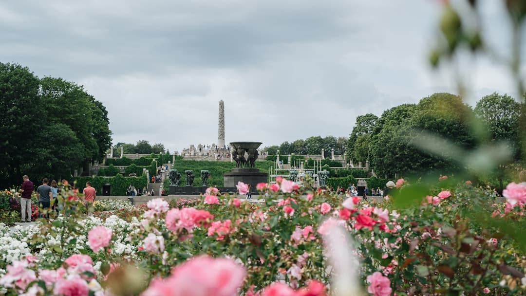 The Ultimate Oslo Travel Guide | 2-Day Itinerary (Fjords & City Sights)