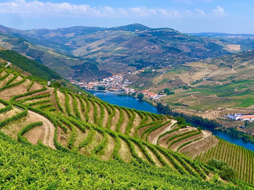 The Ultimate Porto Travel Guide | A Perfect 4-Day Wine & Coastal Itinerary