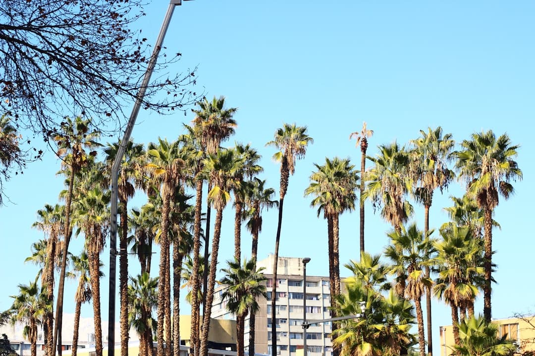 The Ultimate 3 Days in Santiago, Chile | Can’t-Miss Experiences & Itinerary