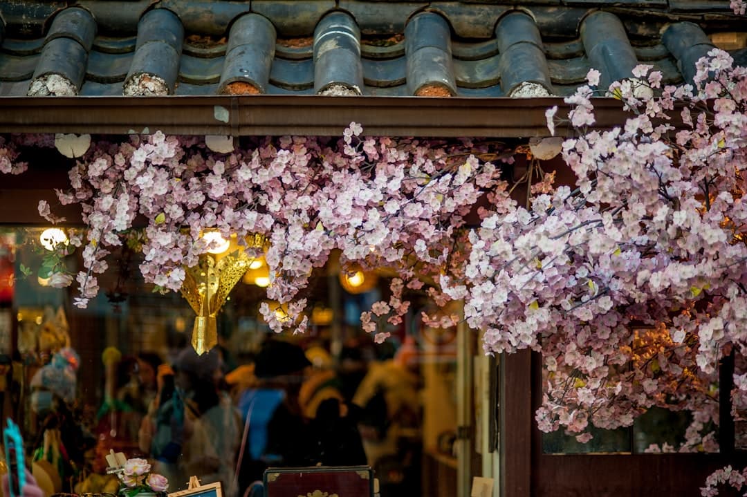 The Ultimate Seoul Travel Guide | 4-Day City Walk, Food & Shopping Itinerary