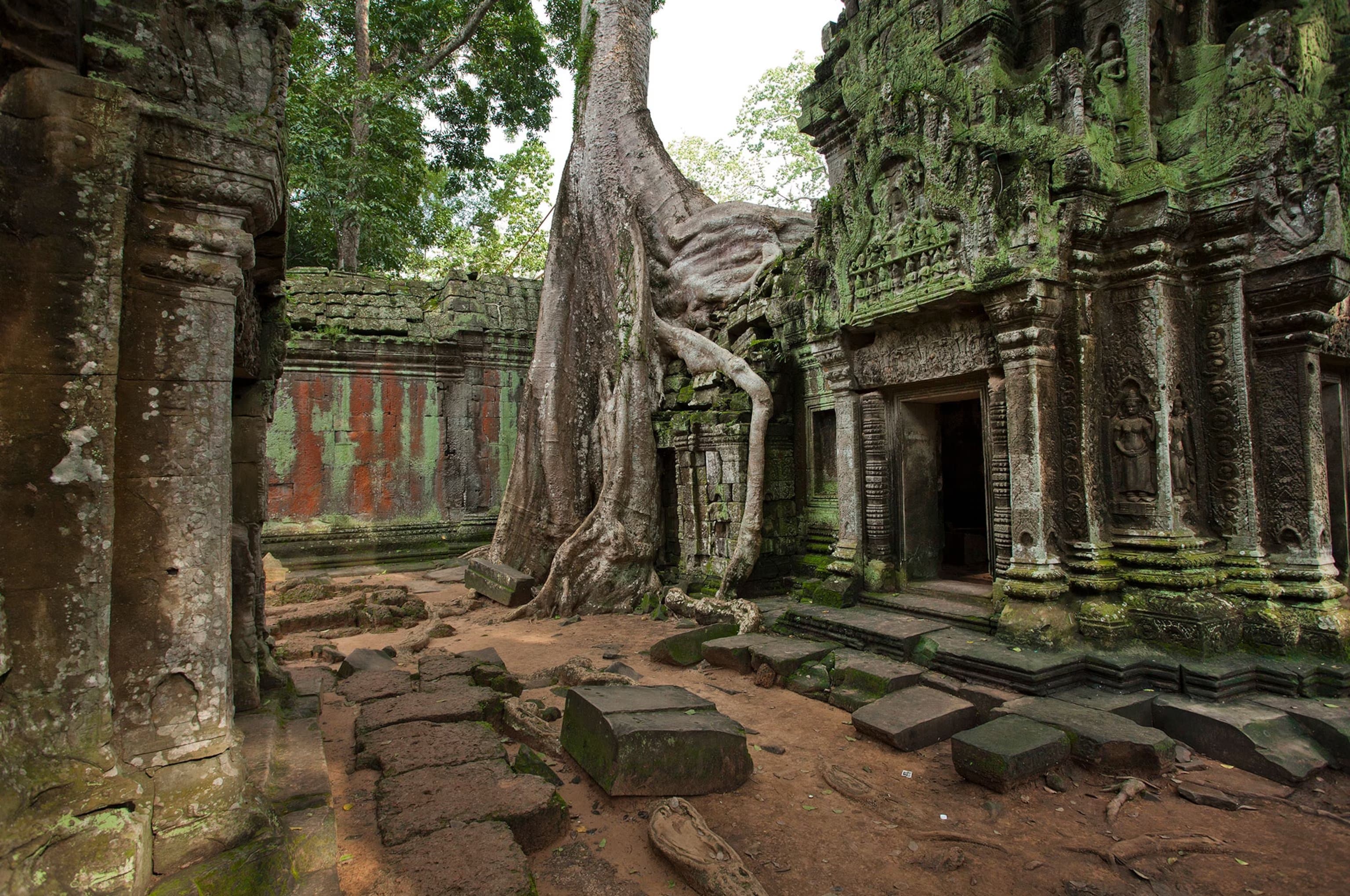 The Ultimate 48 Hours in Siem Reap | Temples, Hero Rats & Hidden Gems
