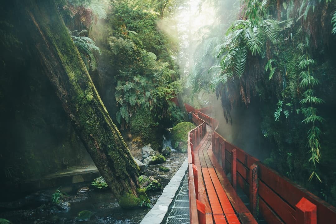Top 10 Places to Visit in 2026: The Ultimate Year of Travel