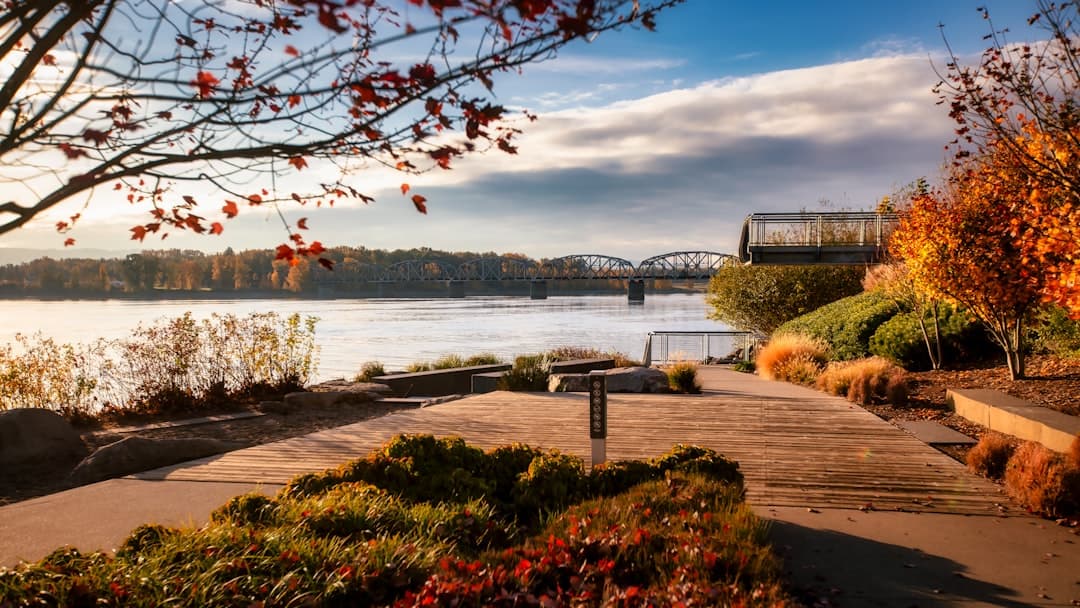 The Ultimate 2 Days in Vancouver | Itinerary, Food & Must-Do Activities