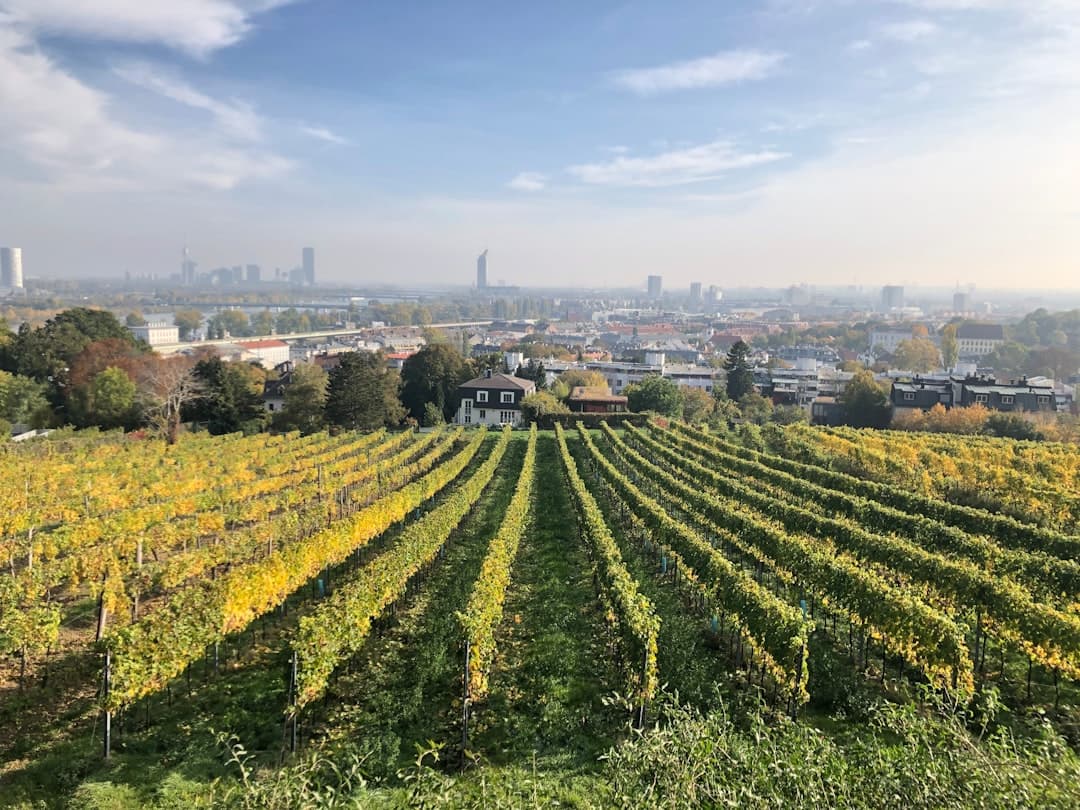 The Ultimate Vienna Travel Guide | 2-Day Itinerary & Best Sights
